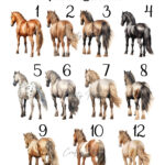 0080-Horse-choices-1