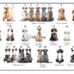 0094-Dog-choice-sheet-1