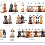 0094-Dog-choice-sheet-2