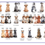 0094-Dog-choice-sheet-4