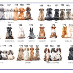 0094-Dog-choice-sheet-6