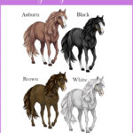 0356-horse-options