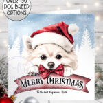 personalised cute dog in santa hat merry christmas card lots of dog breeds