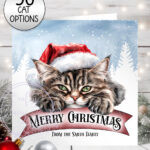 personalised cat in santa hat on banner christmas card lots of cat breeds
