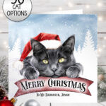 personalised cat in santa hat on banner christmas card lots of cat breeds