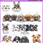 personalised cute dog face a5 notebook many breed options