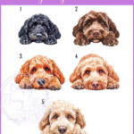 personalised cute cockapoo dog face happy birthday card