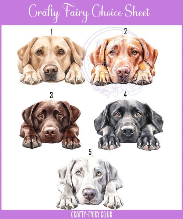 personalised cute labrador dog face happy birthday card