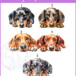personalised cute dachshund dog face happy birthday card
