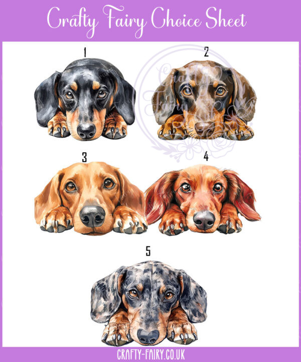 personalised cute dachshund dog face happy birthday card
