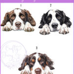personalised cute springer spaniel dog face happy birthday card