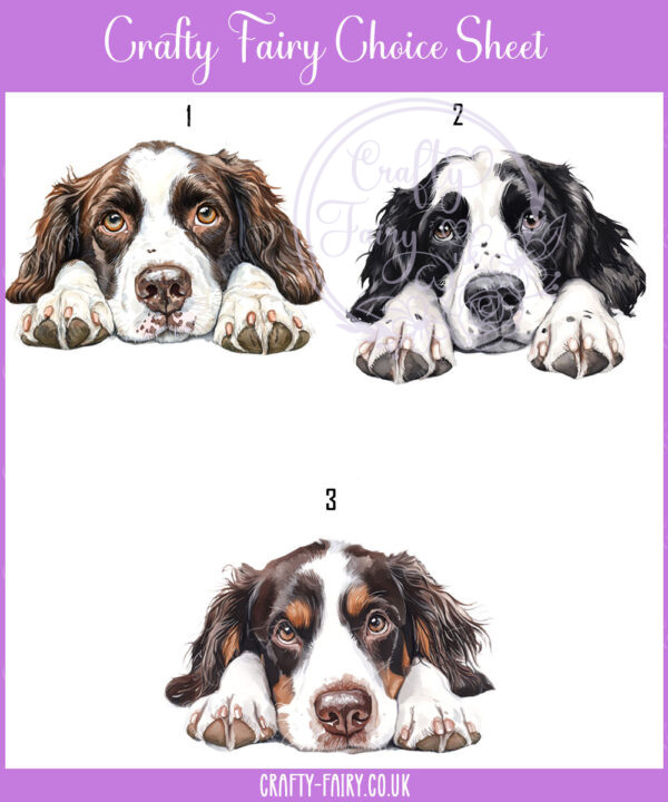 personalised cute springer spaniel dog face happy birthday card