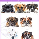 personalised cute boxer dog face happy birthday card
