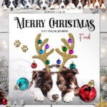 2786 border collie personalised dog baubles christmas card 1