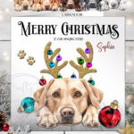 2796 labrador personalised dog baubles christmas card 1