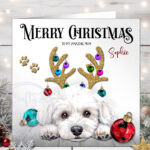 2807 maltese personalised dog antlers christmas card 2