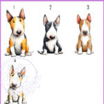 2898 dog options bullterrier 1