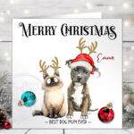 3069 personalised cat staffie dog xmas card 1