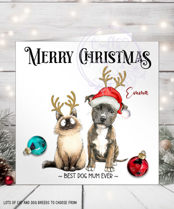 3069 personalised cat staffie dog xmas card 1