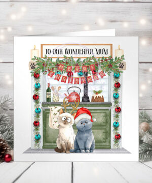 3094 personalised cat aga kitchen xmas card 1