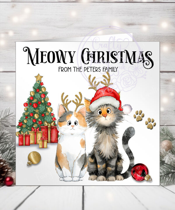 3095 personalised cat xmas card 1