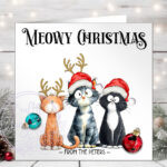 3096 personalised cat xmas card 1