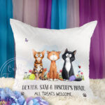 3112 personalised cats cushion 1