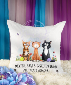 3112 personalised cats cushion 1