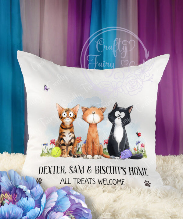 3112 personalised cats cushion 1