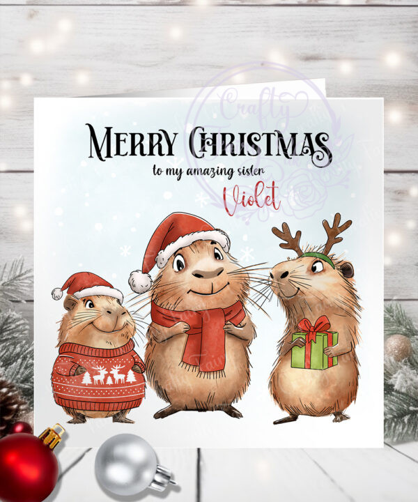 3514 personalised capybara christmas card sister
