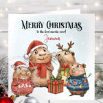 3515 personalised capybara christmas card auntie