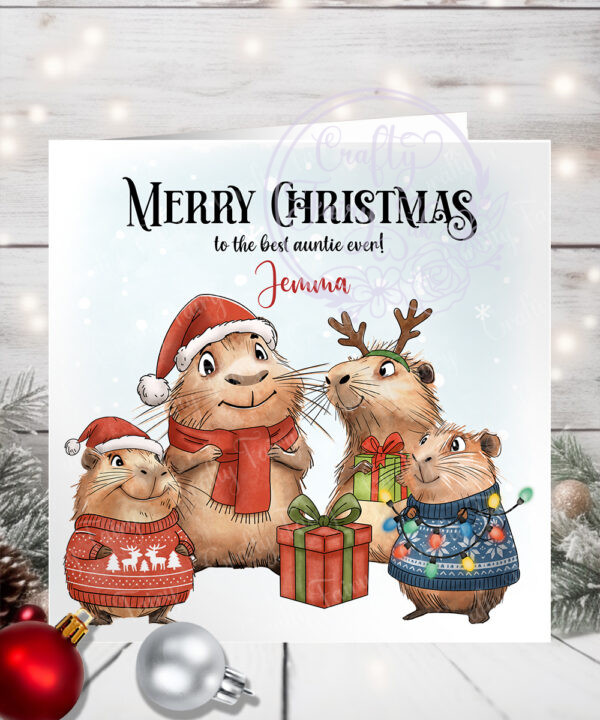 3515 personalised capybara christmas card auntie