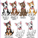 personalised playful bull terriers 2027 dog calendar 7 colour options
